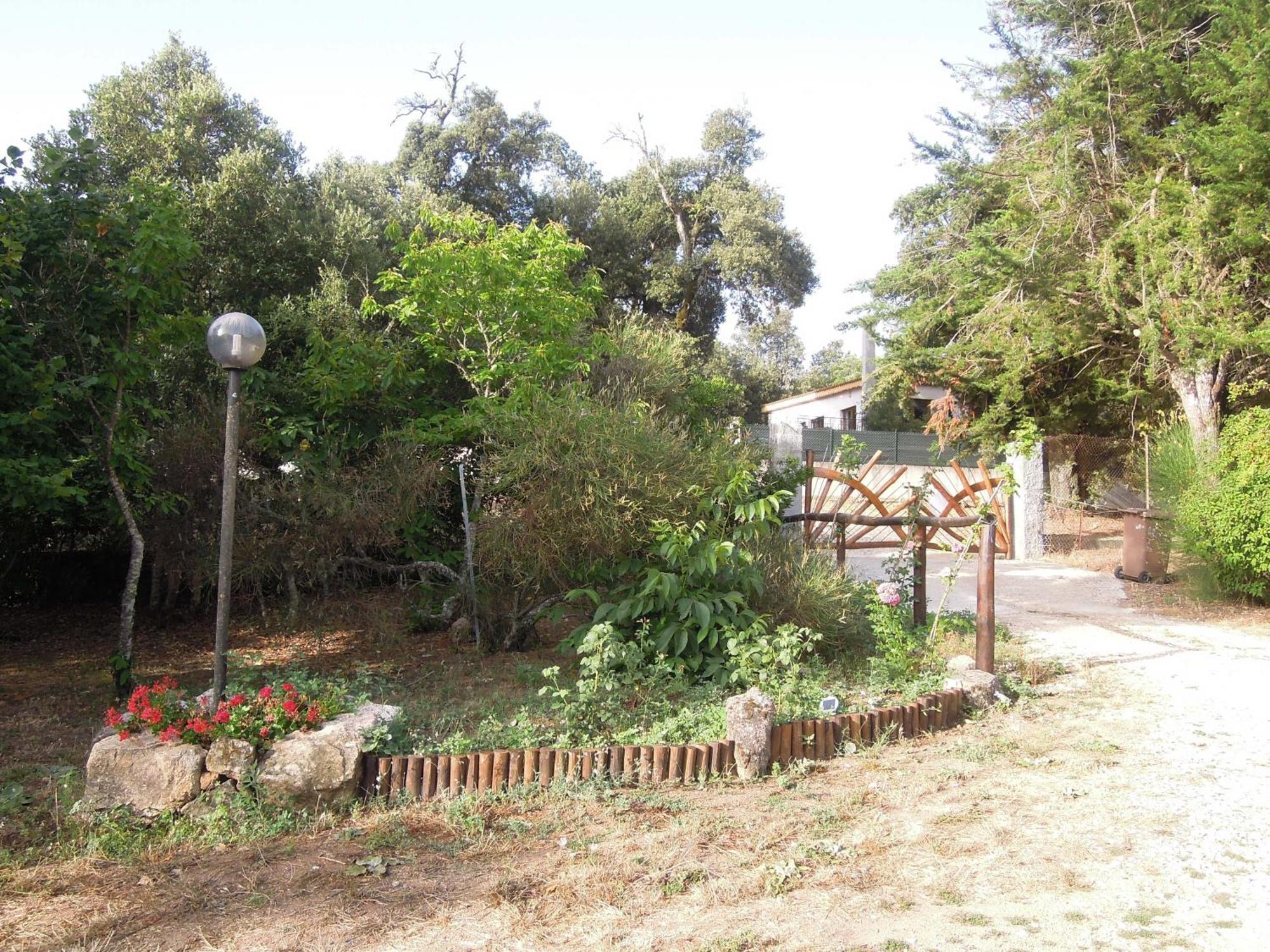 Penzion Casa Solotti Nuoro  Exteriér fotografie